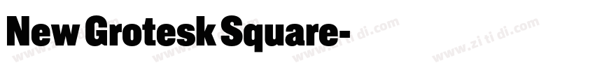 New Grotesk Square字体转换 New Grotesk Square字体转换